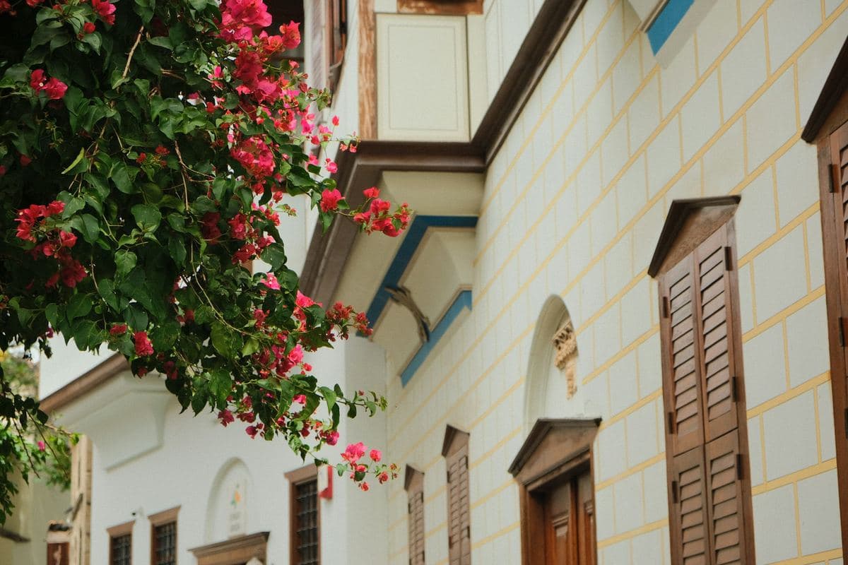 Antalya eski shahridagi uy peshtoqidagi bugenvilliya